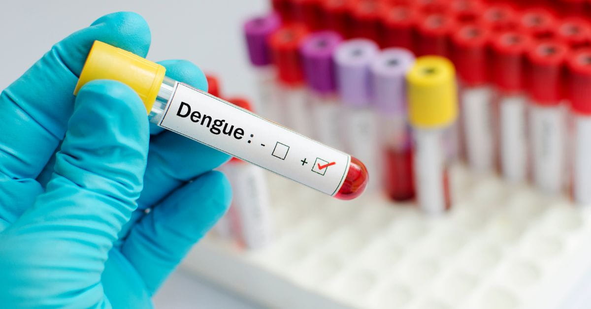 Dengue - DR. MANISH MADHAV Blog